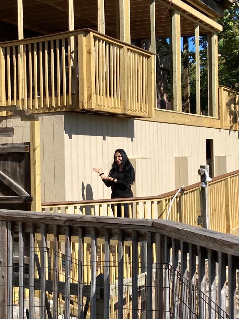 Deck & Railing Construction